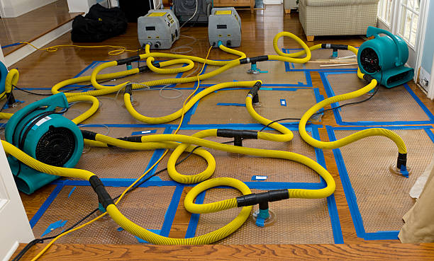 Professional Burst Pipe Water Damage technician working in Milano, TX