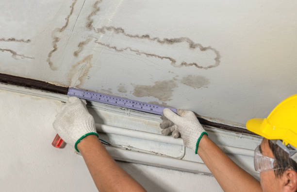 Affordable Burst Pipe Water Damage solutions in Milano, TX